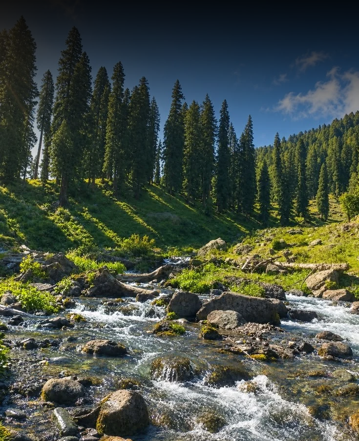 Kashmir Tour Package with Sonmarg  5 Nights 6 Days
